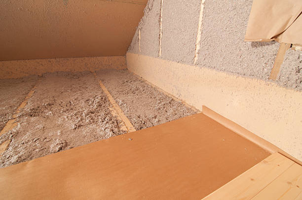 Best Eco-Friendly Insulation in Longbranch, WA